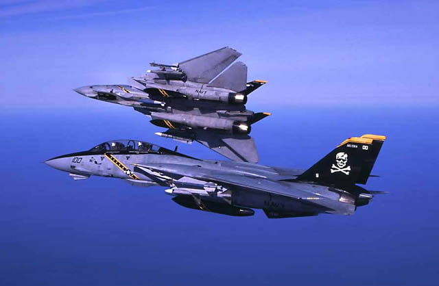 Grumman F-14 Tomcat (Foto: US Navy)